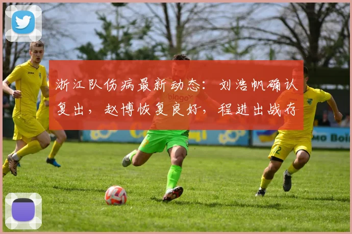 浙江队伤病最新动态：刘浩帆确认复出，赵博恢复良好，程进出战存疑